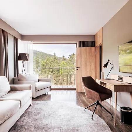 Radisson 호텔 4*